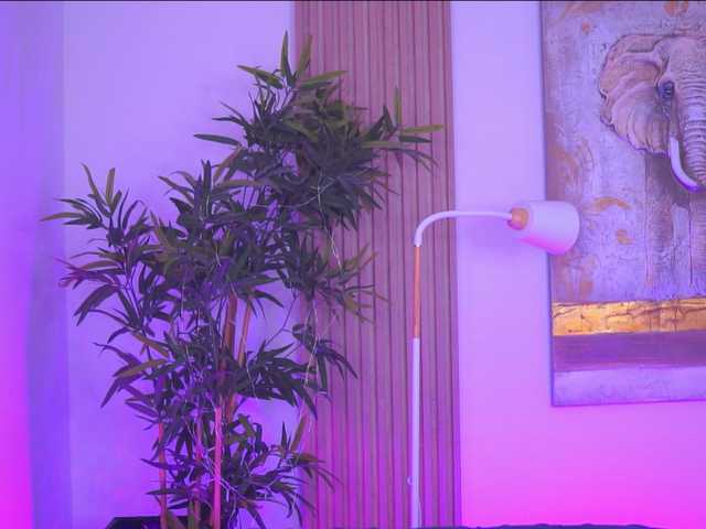 AdaSol online show from August 12, 1:46 pm