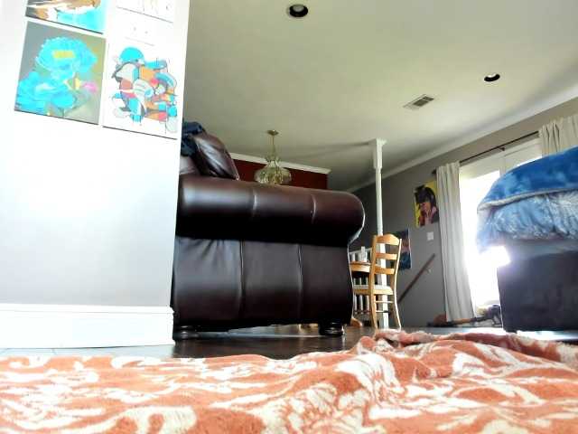 Adellebunny online show from August 11, 4:53 pm