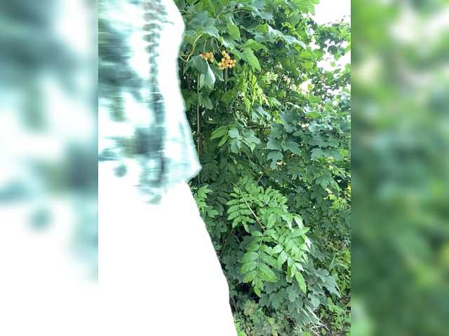 AyraMoon online show from July 23, 10:28 am
