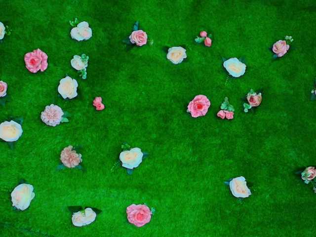 HugeTittiess online show from August 12, 8:33 pm