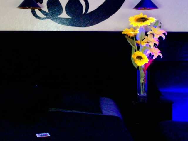 LexiSttar online show from August 12, 7:27 pm