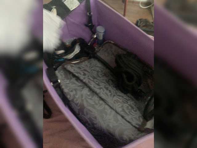 MariCat online show from May 31, 11:12 am