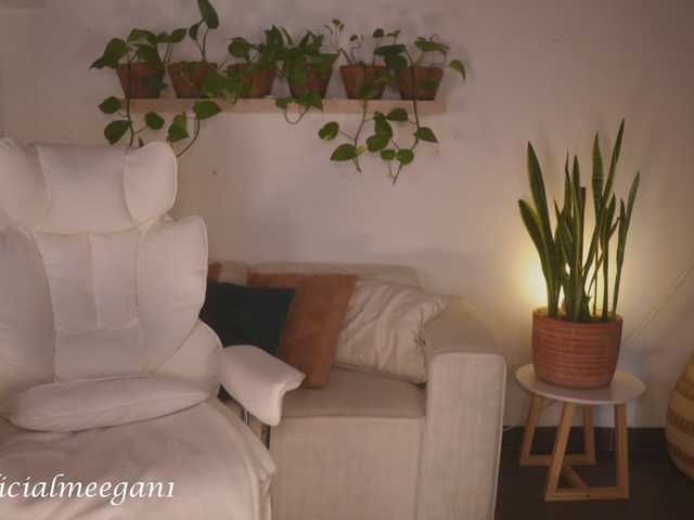 Meegan online show from August 7, 3:23 pm