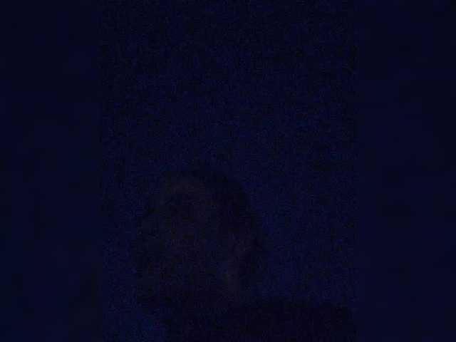 WAP00 online show from March 12, 10:07 pm