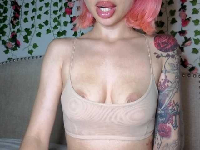 Xoxcat online show from July 29, 4:30 am