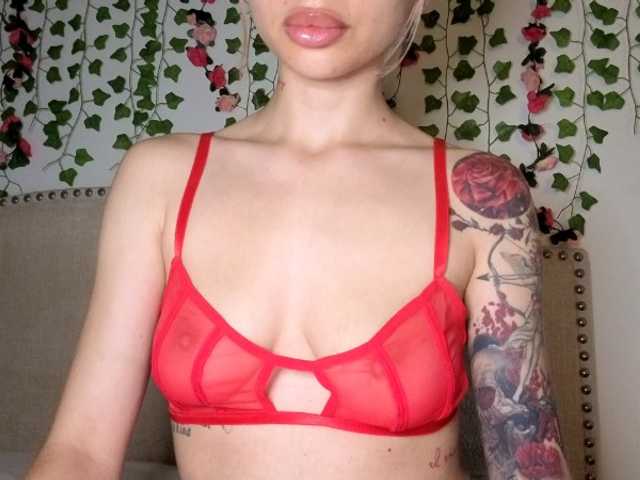 Xoxcat online show from August 15, 4:05 am