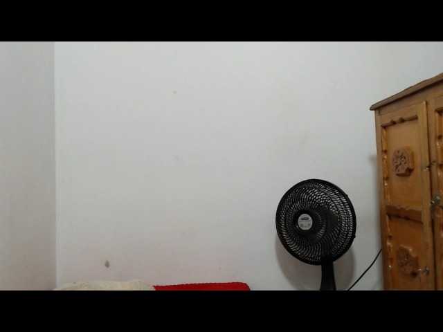 ariellth online show from May 23, 2:42 pm