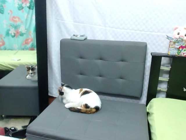 pamelavasquez online show from July 20, 7:06 pm