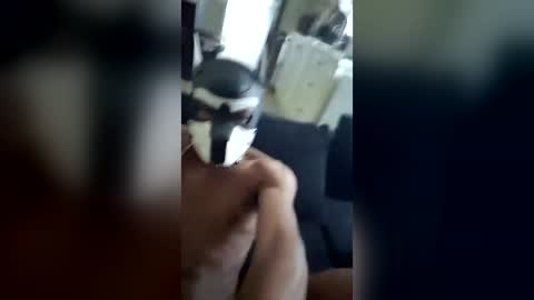 2ill online show from August 11, 3:36 pm