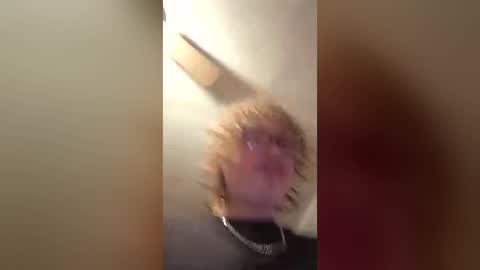 420jizzva online show from August 6, 1:26 am
