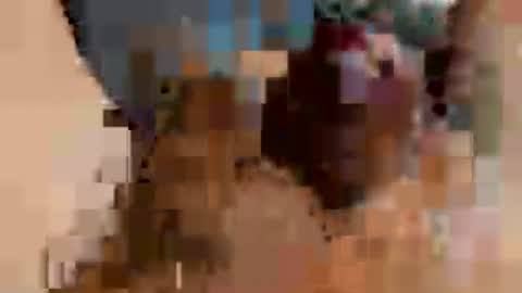 4tommmy4 online show from August 13, 11:52 pm