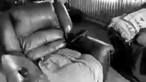 51_donny online show from August 15, 12:14 am