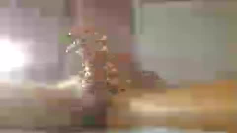60zeus60 online show from July 15, 2:12 am