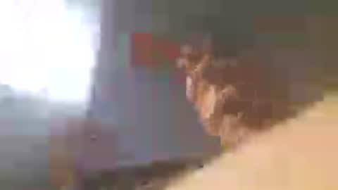 60zeus60 online show from July 18, 1:23 pm
