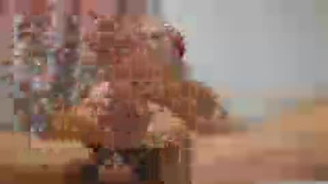 60zeus60 online show from July 19, 8:38 am