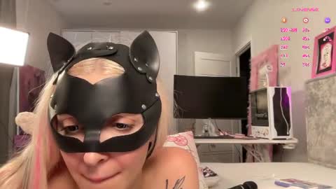   8abycat online show from July 31, 6:52 am