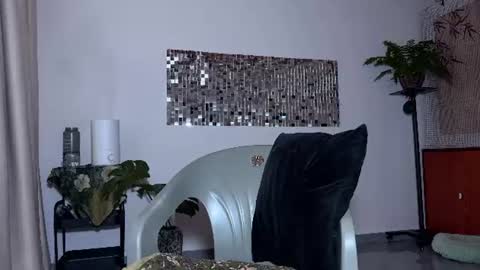 lily online show from August 2, 7:04 am