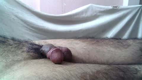 Massive hungry cock online show from July 20, 1:30 am