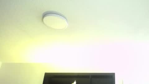 _charlotte_collins_ online show from August 1, 7:31 pm