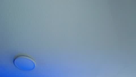 _charlotte_collins_ online show from August 12, 4:31 pm
