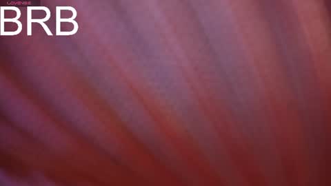 _kimtorres_1 online show from September 9, 1:52 pm