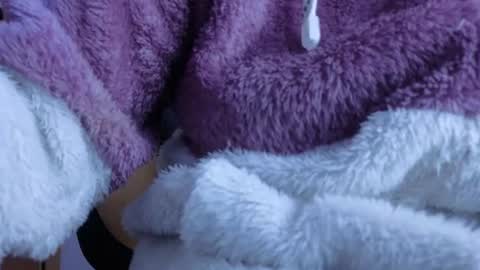 _kitten_1 online show from August 13, 7:44 am