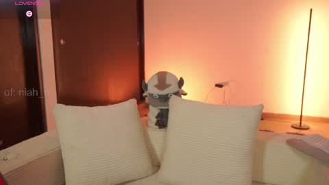 NiniHelp me by giving my show a thumbs up online show from August 16, 6:28 am