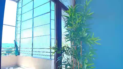 Alisa online show from August 11, 10:50 am