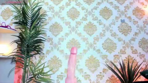 pinki online show from August 14, 4:49 am