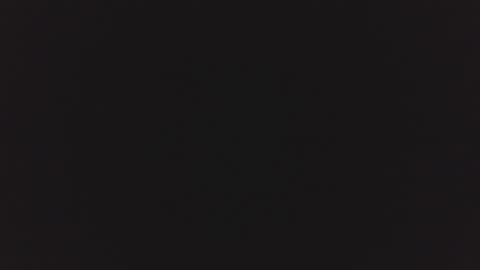 Selene online show from August 4, 11:51 am