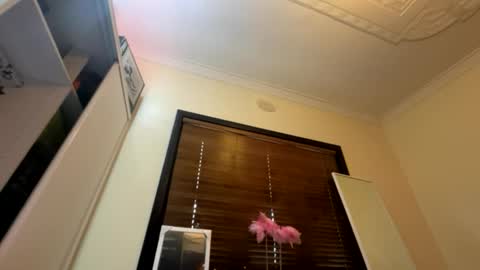 _turb0_tr4sh_ online show from June 6, 3:01 am