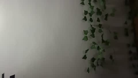 Kirill online show from August 17, 10:15 pm