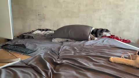 asianbbgurl online show from August 7, 8:14 am