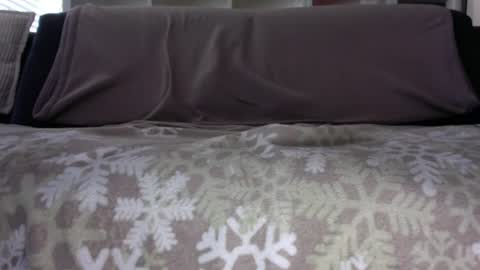a_nice_dick_77 online show from August 5, 8:34 am