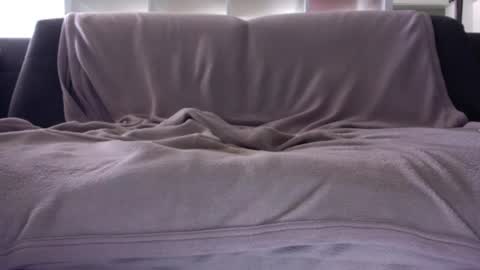 a_nice_dick_77 online show from August 7, 12:49 pm
