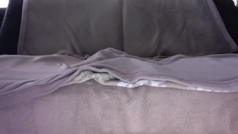 a_nice_dick_77 online show from August 13, 11:46 am