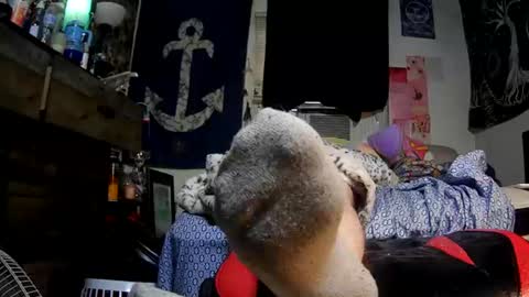 Chris online show from August 11, 10:39 am