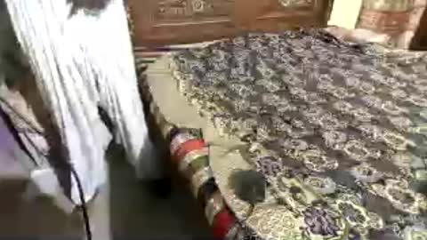 aakhan804 online show from August 5, 9:13 pm