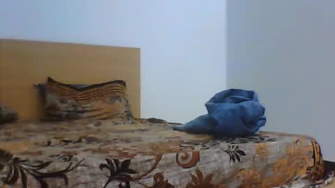 aali9031 online show from July 4, 7:38 pm