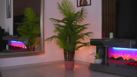 Alexa online show from August 6, 11:31 am
