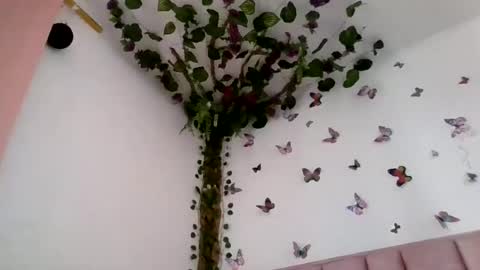abby_moss_2 online show from August 8, 9:26 pm