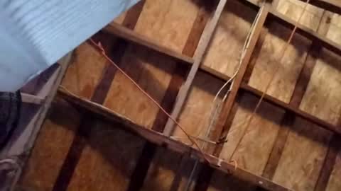 absltorres8680493 online show from August 6, 5:01 pm