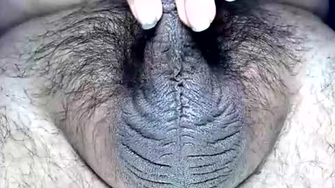 adderallstimdick online show from August 31, 12:17 pm