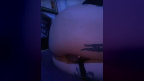 Addi ashtray online show from August 6, 12:26 pm