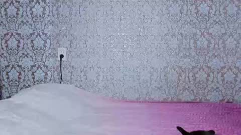 Adriana online show from August 7, 7:47 pm