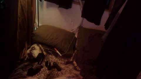 agtanimal online show from July 29, 1:07 pm