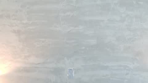 alaia_colins online show from August 8, 5:07 am