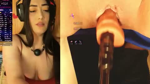 joha  online show from August 14, 4:49 am