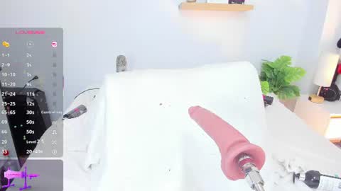 Alexa online show from August 11, 4:31 pm