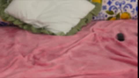 Alexis online show from August 5, 8:18 pm